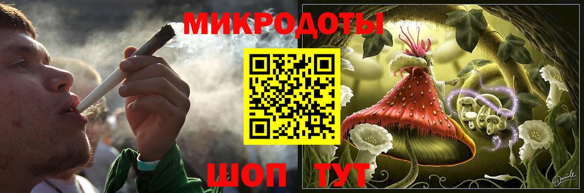 Галлюциногенные грибы Psilocybe  Вход с VPN  Заводоуковск 